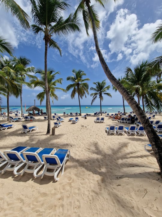 Strand Hotel Viva Dominicus Beach by Wyndham - All Inclusive Resort