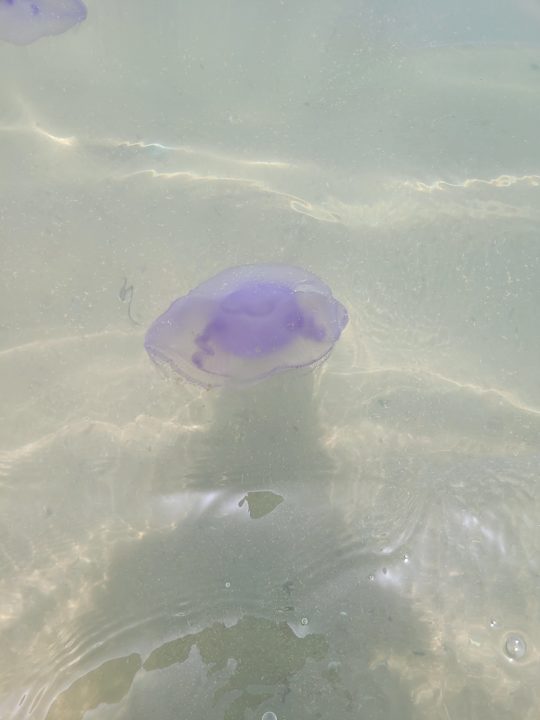 Strand Sentido Caribbean World Soma Bay