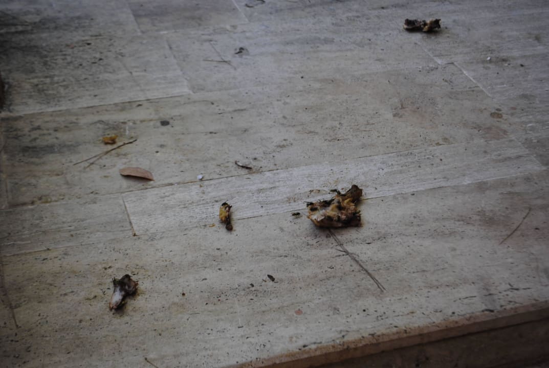 Das war vor unserem Zimmer Grand Yazici Club Marmaris Palace