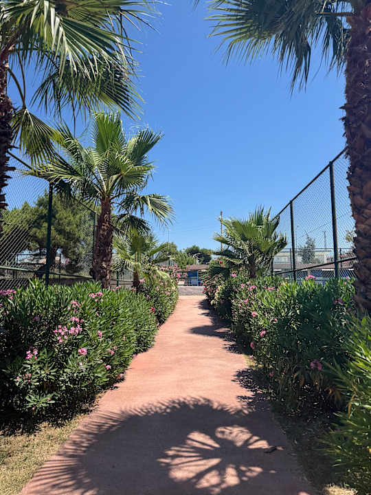 Gartenanlage Starlight Resort Hotel