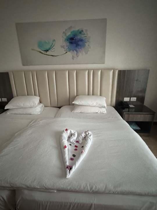 Zimmer Pickalbatros Palace Resort