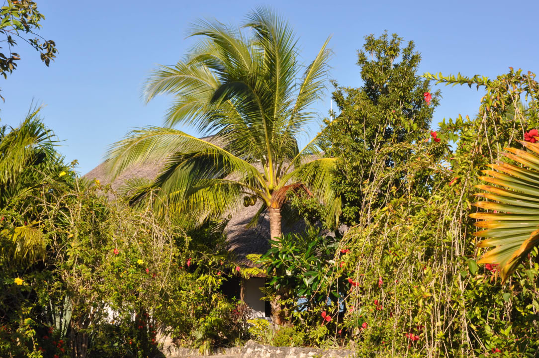 Garten Hotel Dolphin House