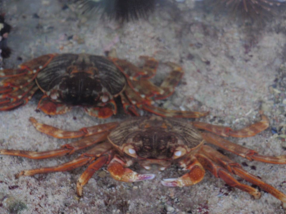 Kraby Three Corners Sea Beach Resort