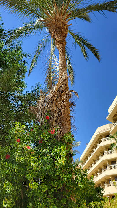 Gartenanlage Sindbad Club