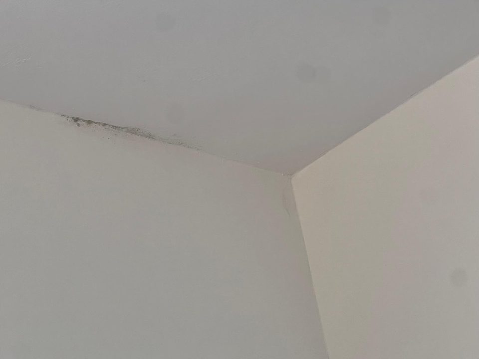 Zimmer Sentido Cala Verde