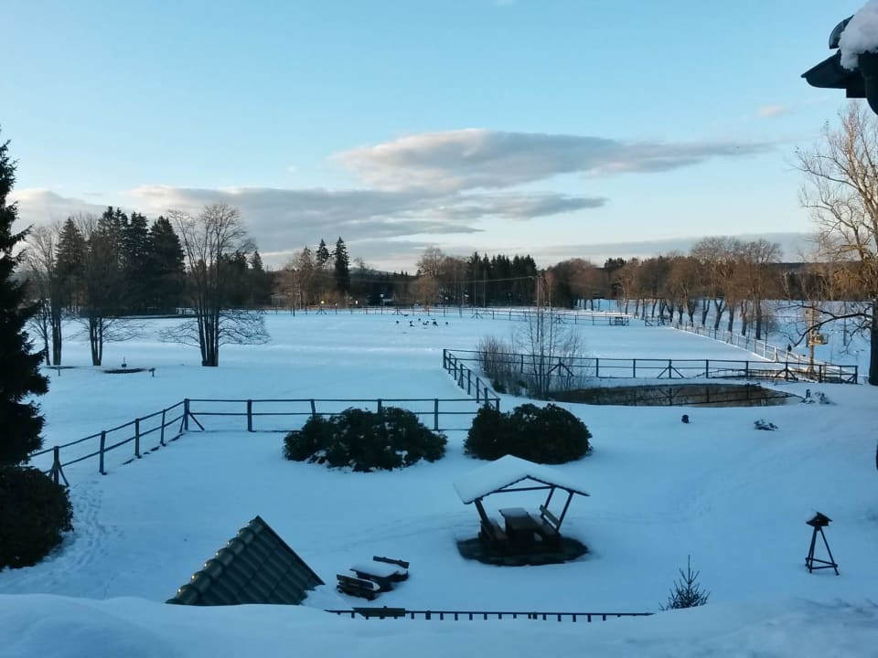 Fenster Hotel Harzhaus