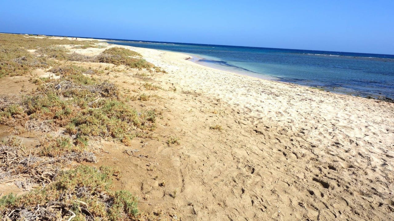 Strand Shams Alam Beach Resort