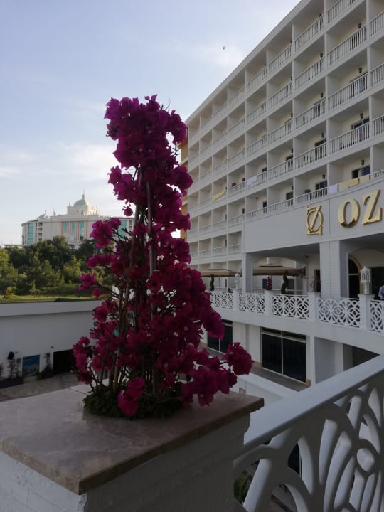 Ausblick Oz Hotels Sui Resort