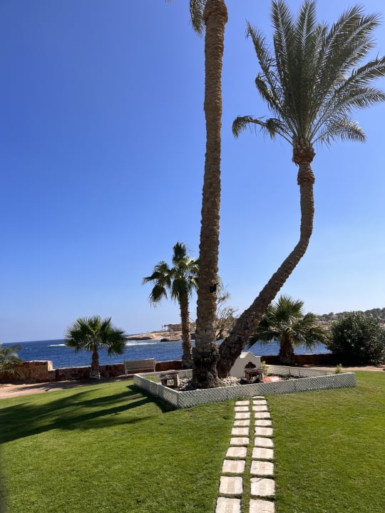 Gartenanlage Steigenberger Coraya Beach - Adults only