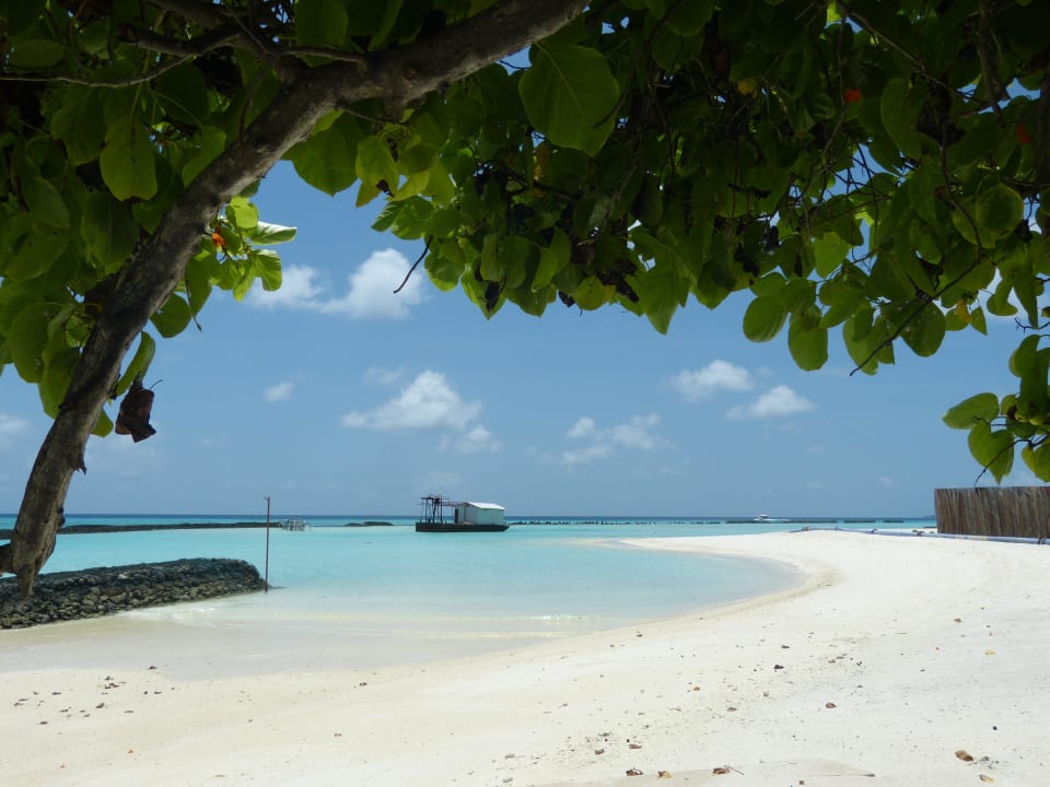 Strand Bungalows 201-204 Summer Island Maldives