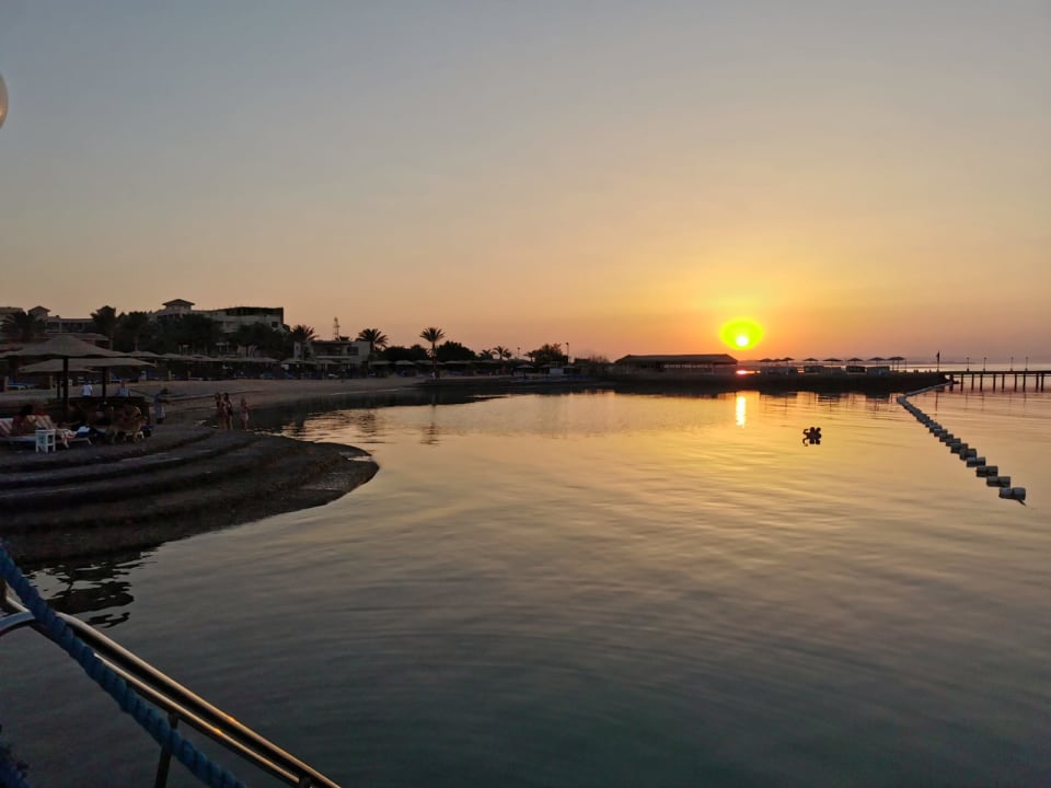 Strand Sea Star Beau Rivage