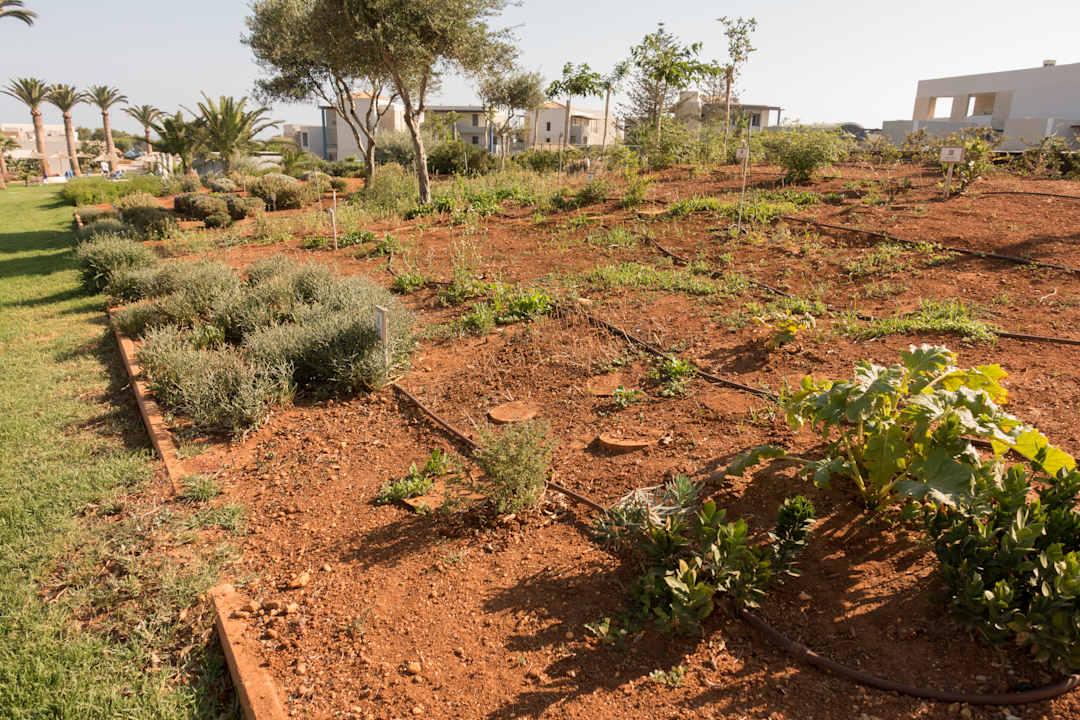 Gartenanlage Anissa Beach & Village
