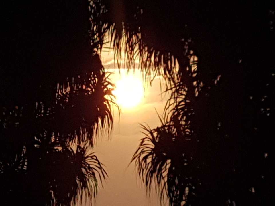 Sonnenuntergang Turyaa Kalutara