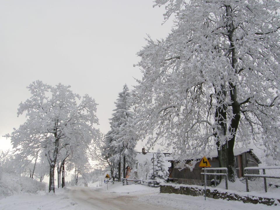 Otoczenie  Pension Wanda