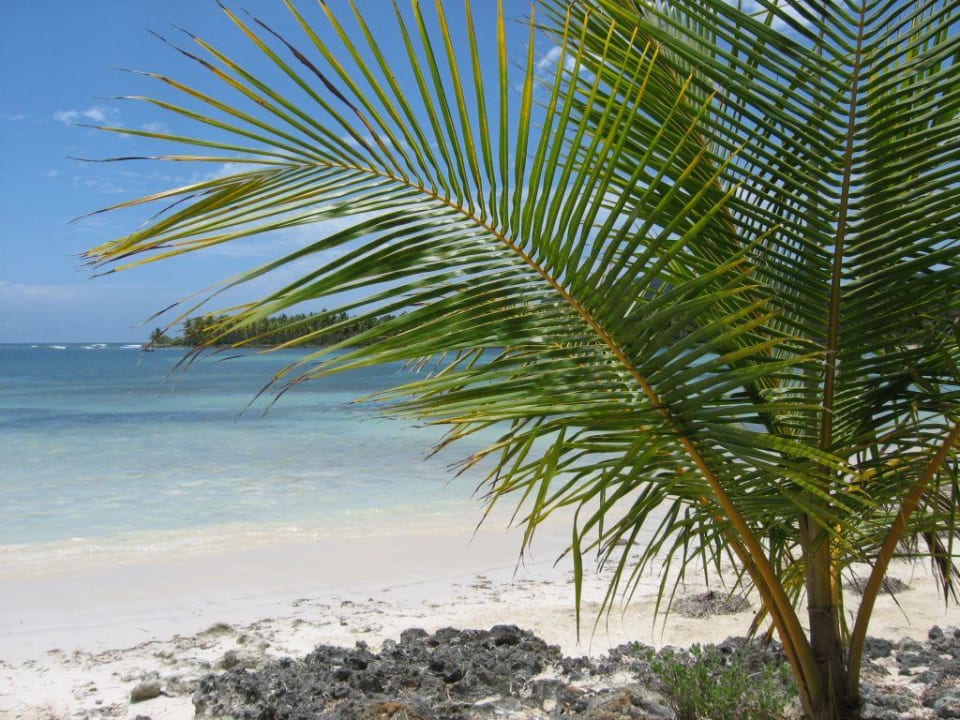 Hotel- Strand Wyndham Alltra Samana