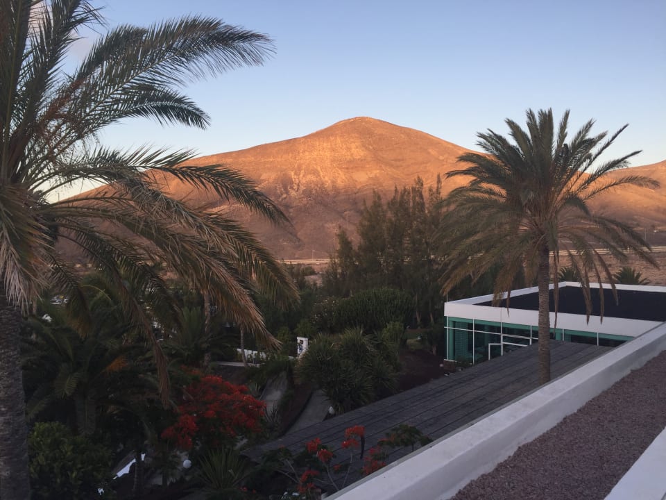 Ausblick allsun App.-Hotel Esquinzo Beach