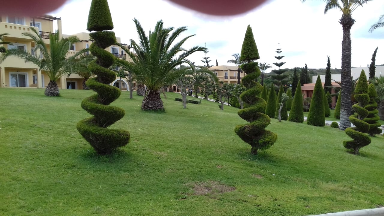 Gartenanlage Hotel Horizon Beach Resort