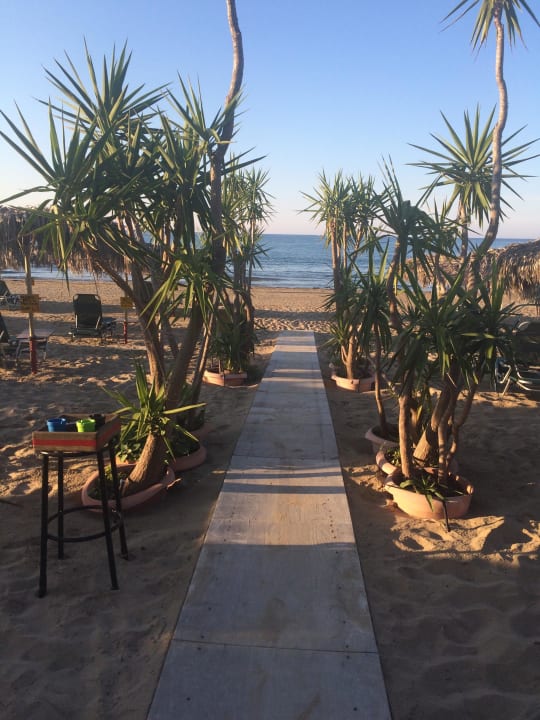 Mike's Oase Hotel Corissia Princess