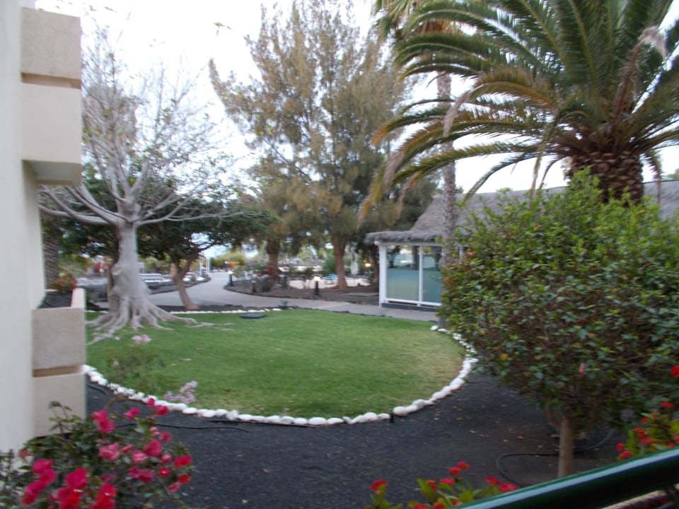 Ausblick von der Terrasse Dreams Lanzarote Playa Dorada Resort & Spa