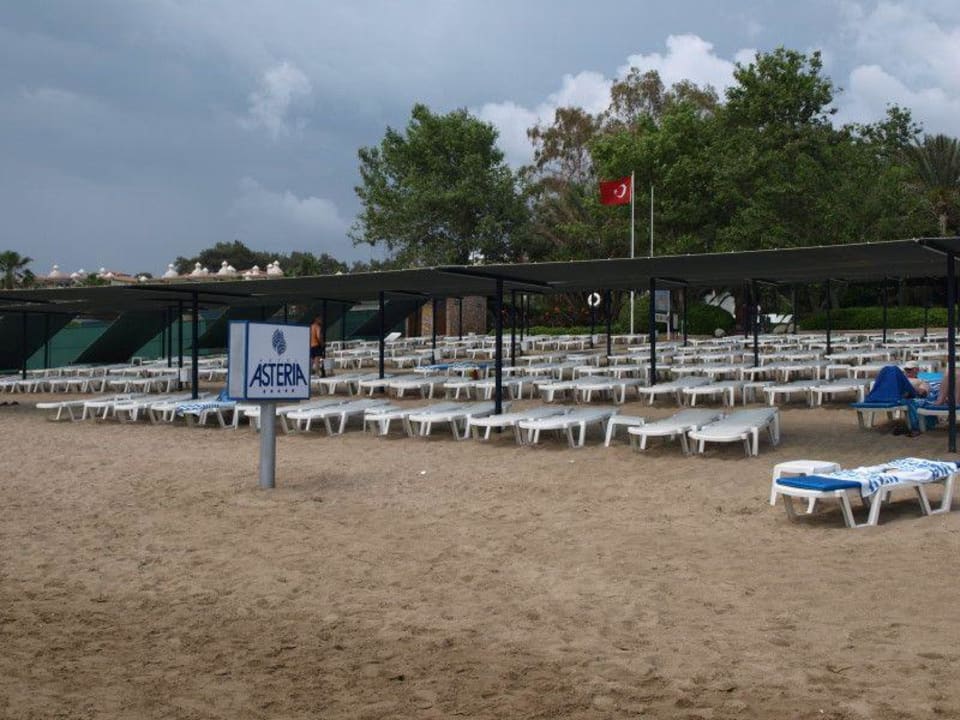 Strand  Side Star Elegance