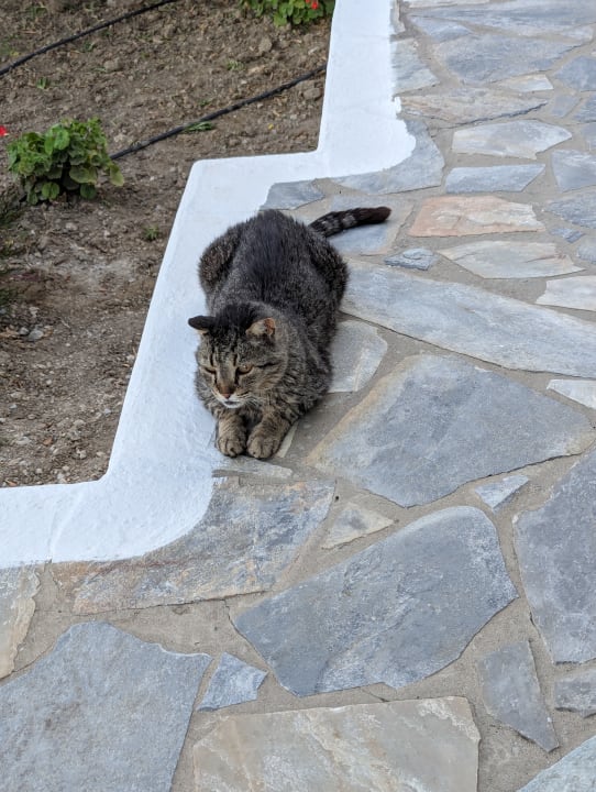 Sonstiges Dimitra Beach Hotel & Suites