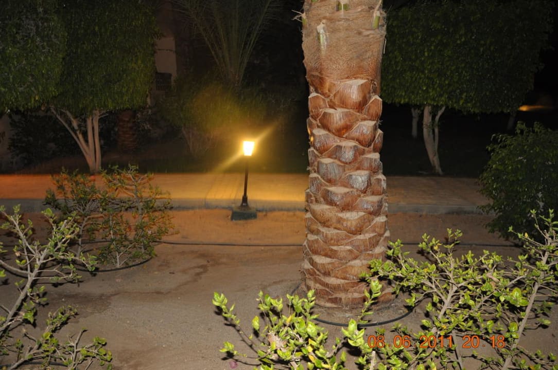 Gartenanlage Steigenberger Coraya Beach - Adults only