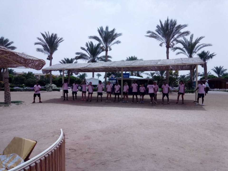 Sonstiges Desert Rose