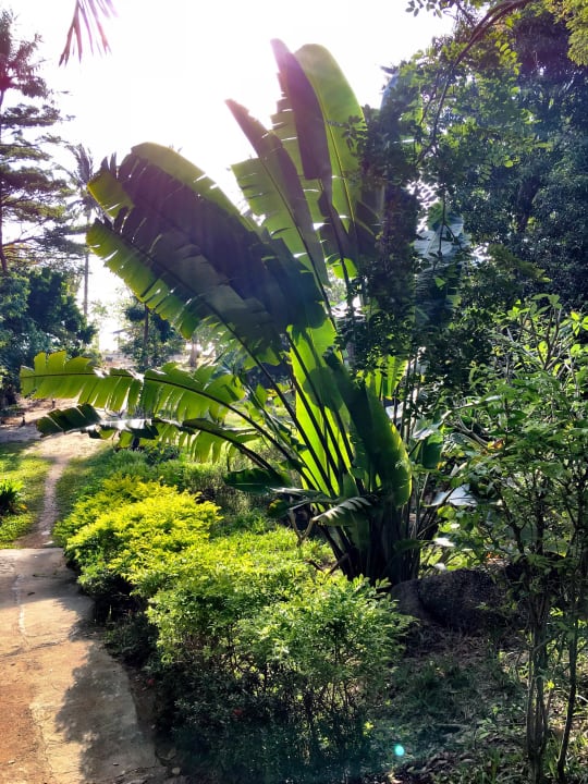 Garden Hotel Thongtapan Resort