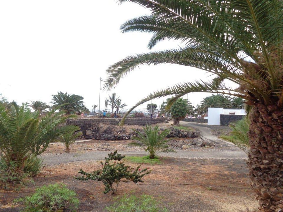 Parkanlage allsun App.-Hotel Albatros