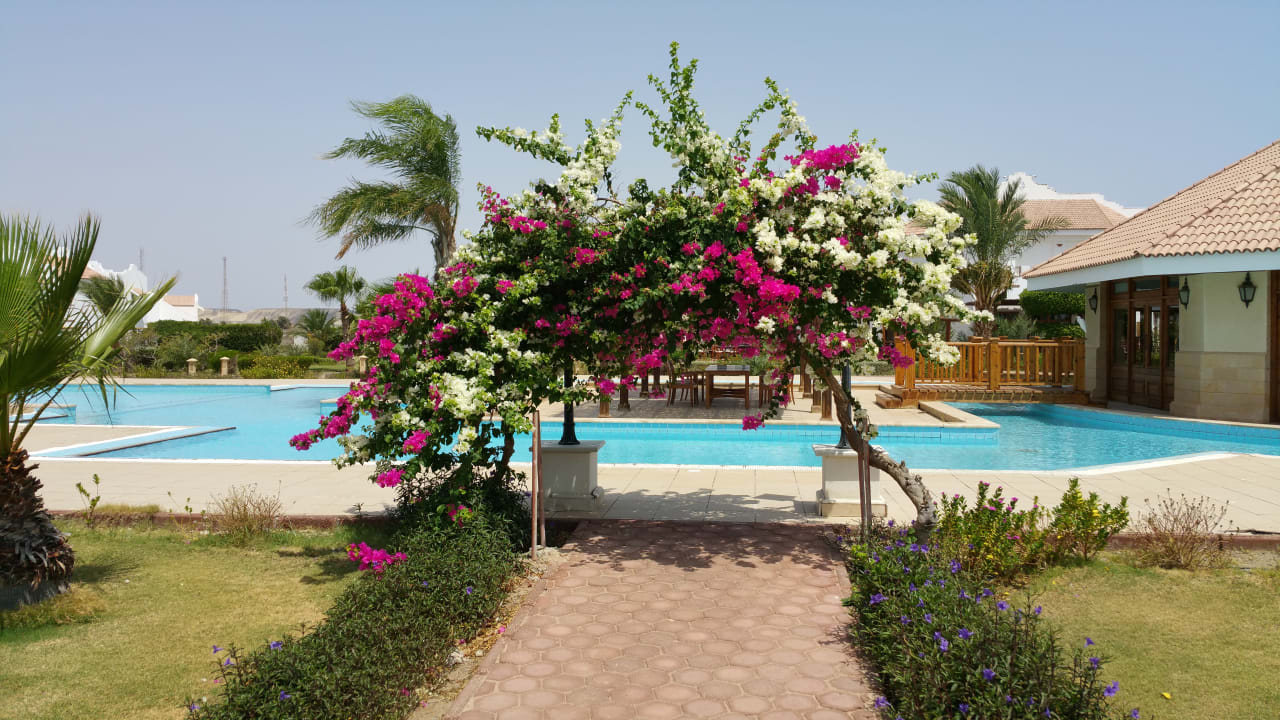 Gartenanlage Lahami Bay Beach Resort