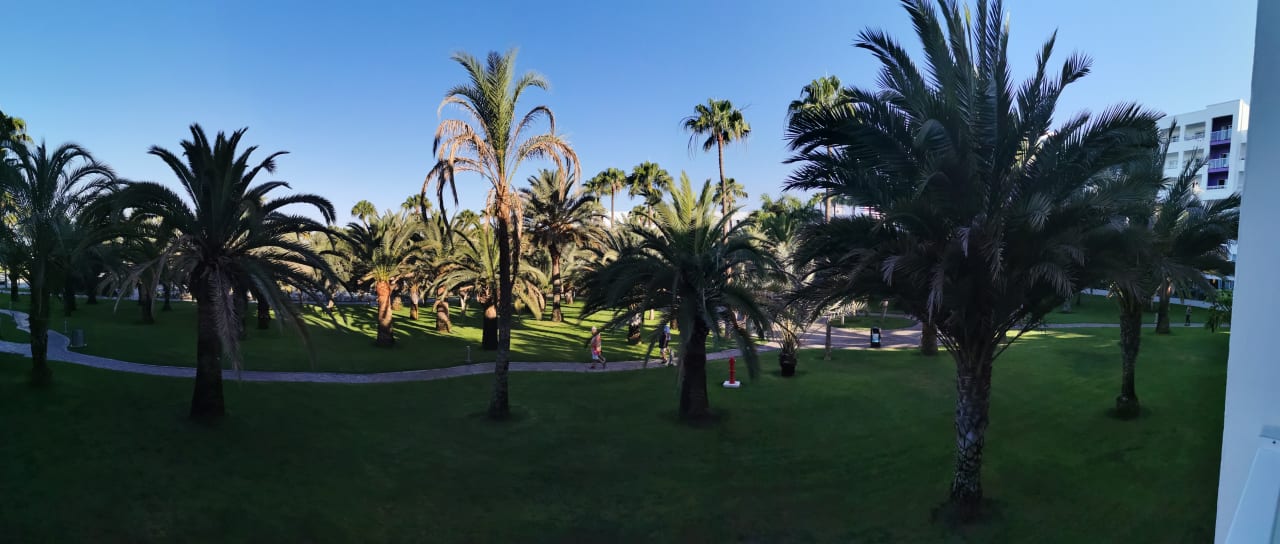 Gartenanlage Hotel Riu Gran Canaria