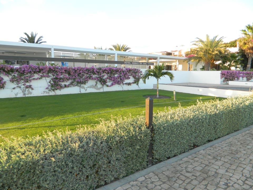 Eingangsbereich Hotel Dunas De Sal