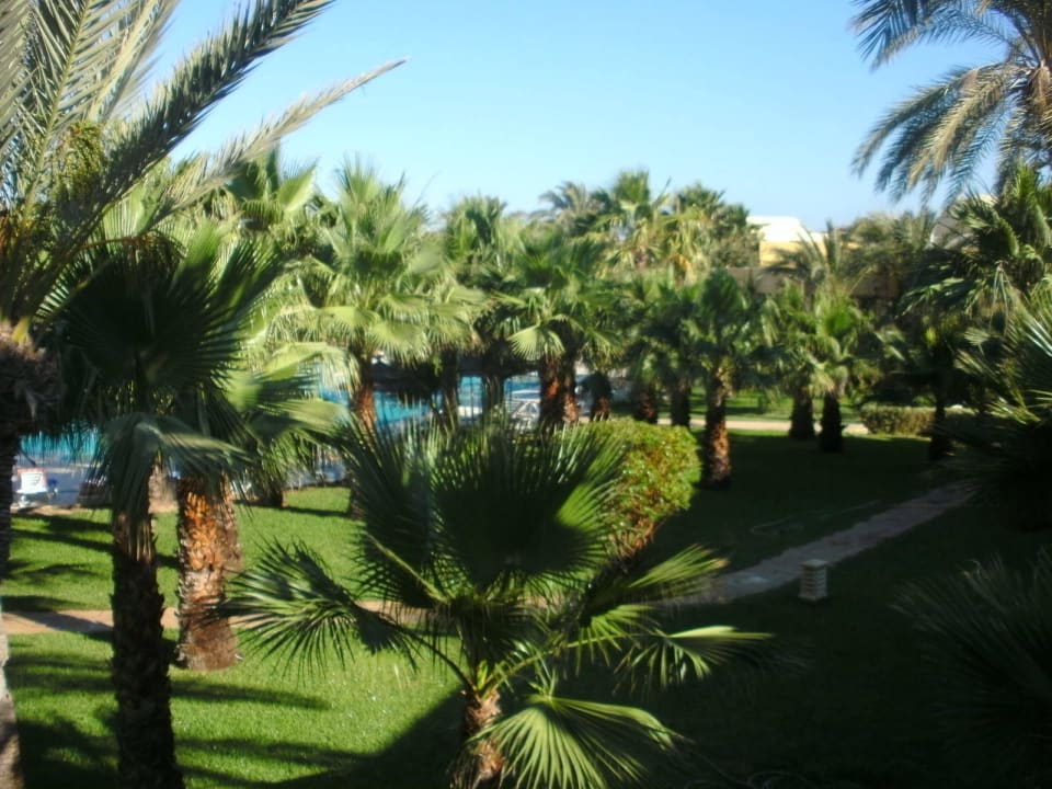 Von oben in den Garten The Ksar Djerba Charming Hotel & SPA