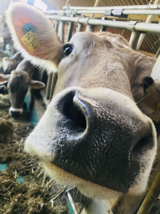 Sonstiges Ferienhof Baldauf