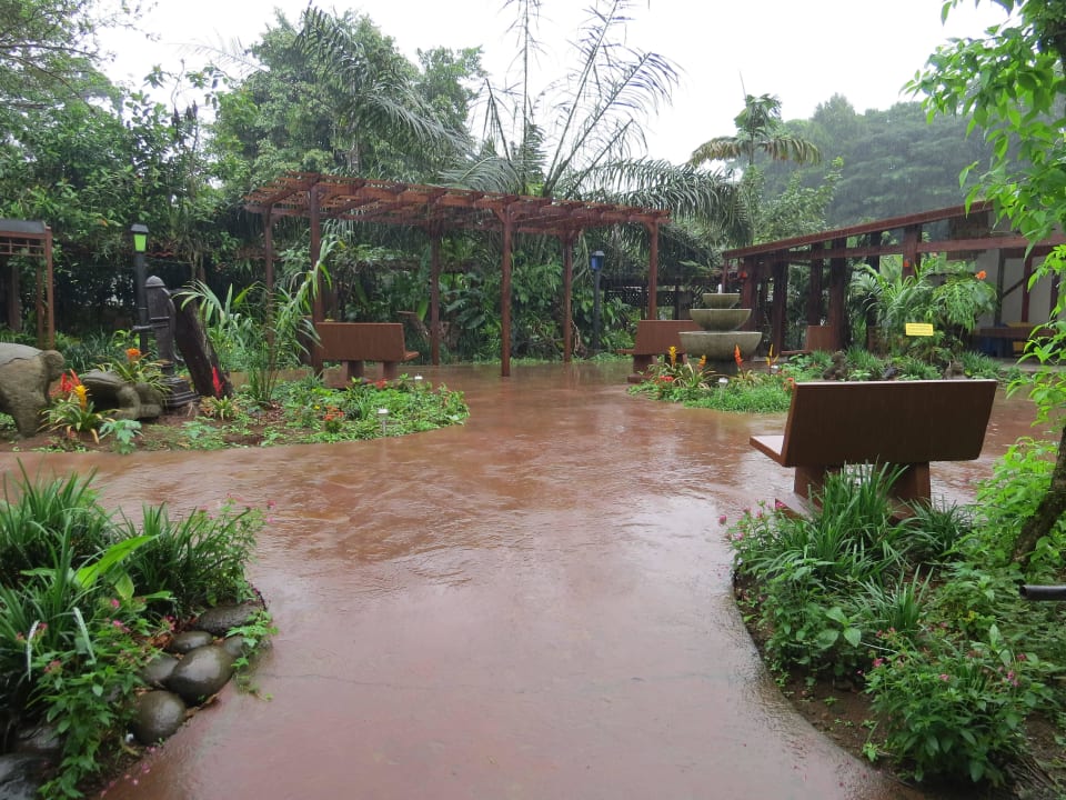 Hier kann man viele Vögel beobachten La Quinta Sarapiqui Lodge