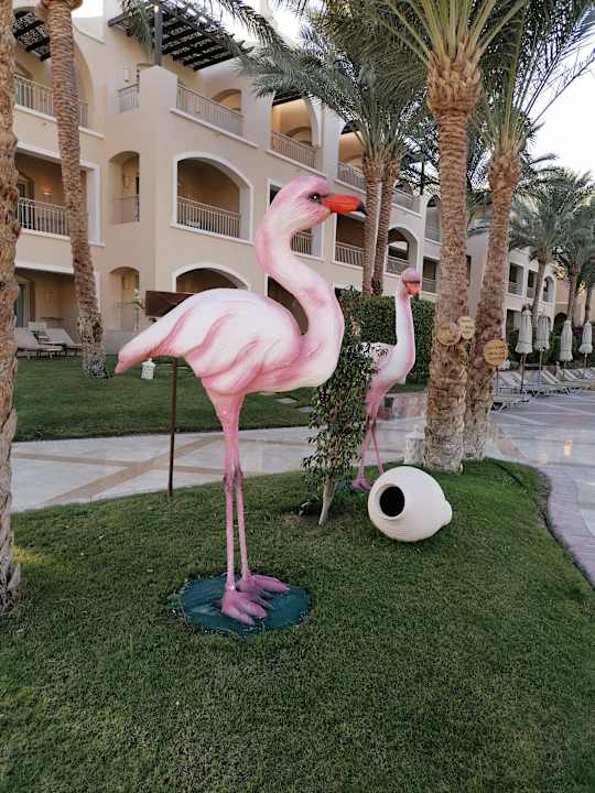 Gartenanlage Hotel JAZ Makadi Star & Spa