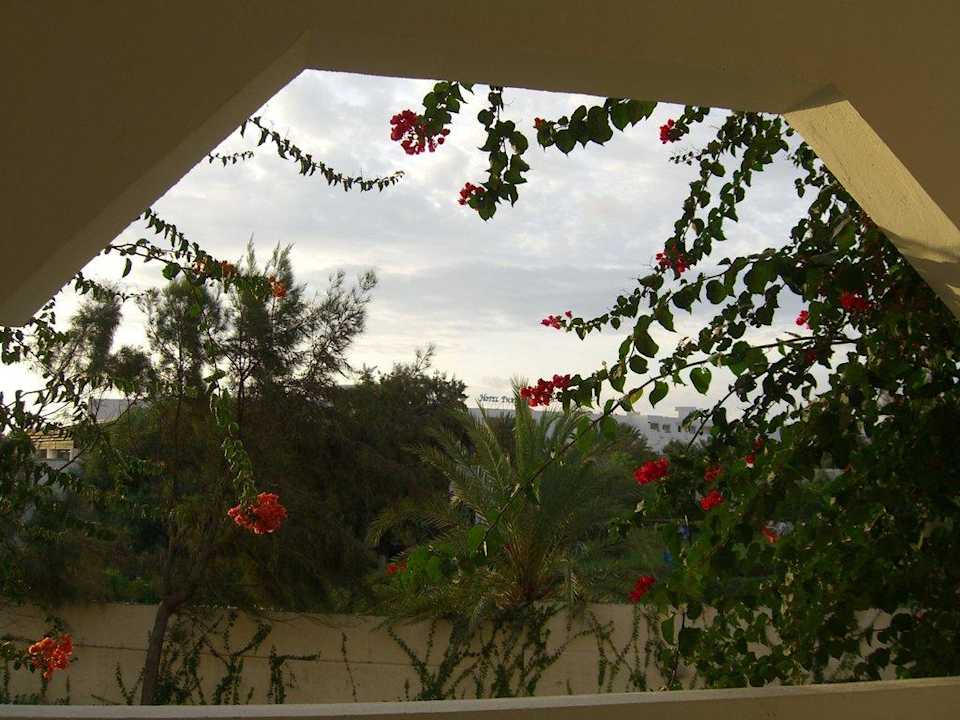 Zimmer mit Meerblick? Mahdia Beach & Aquapark