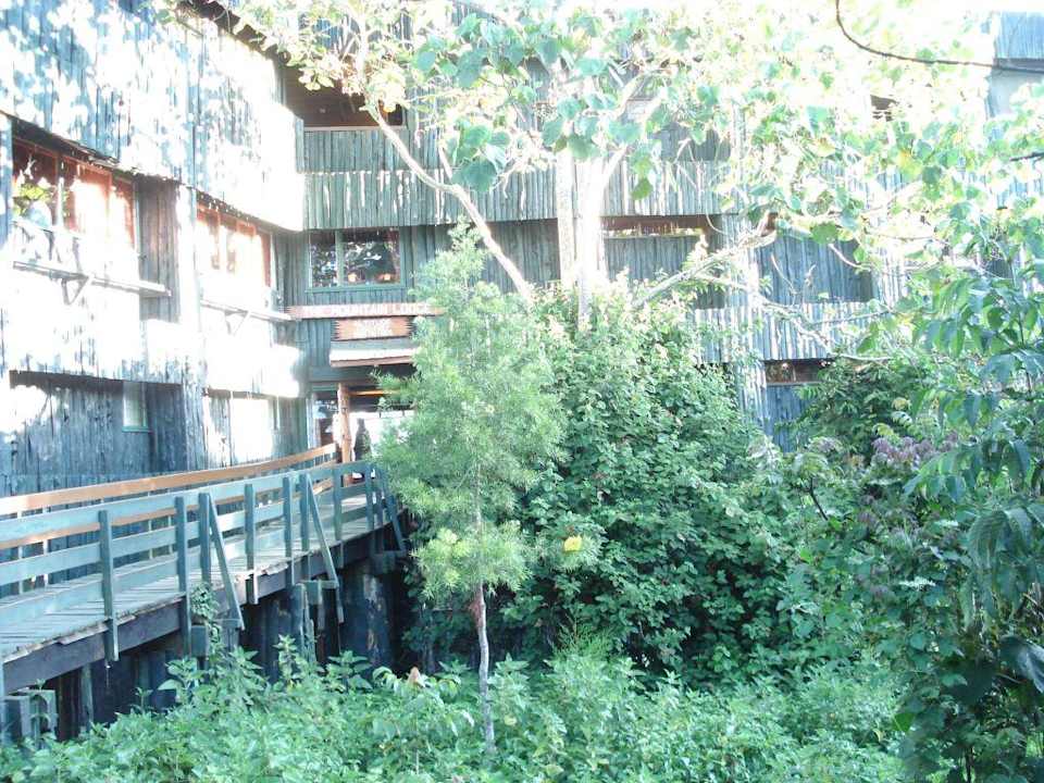 Hoteleingang Hotel Serena Mountain Lodge