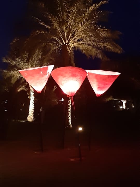 Gartenanlage Desert Rose