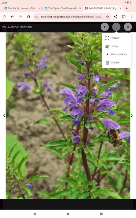 Gartenanlage Testdummy for HolidayCheck Training