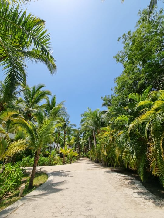 Gartenanlage Akumal Bay Beach & Wellness Resort
