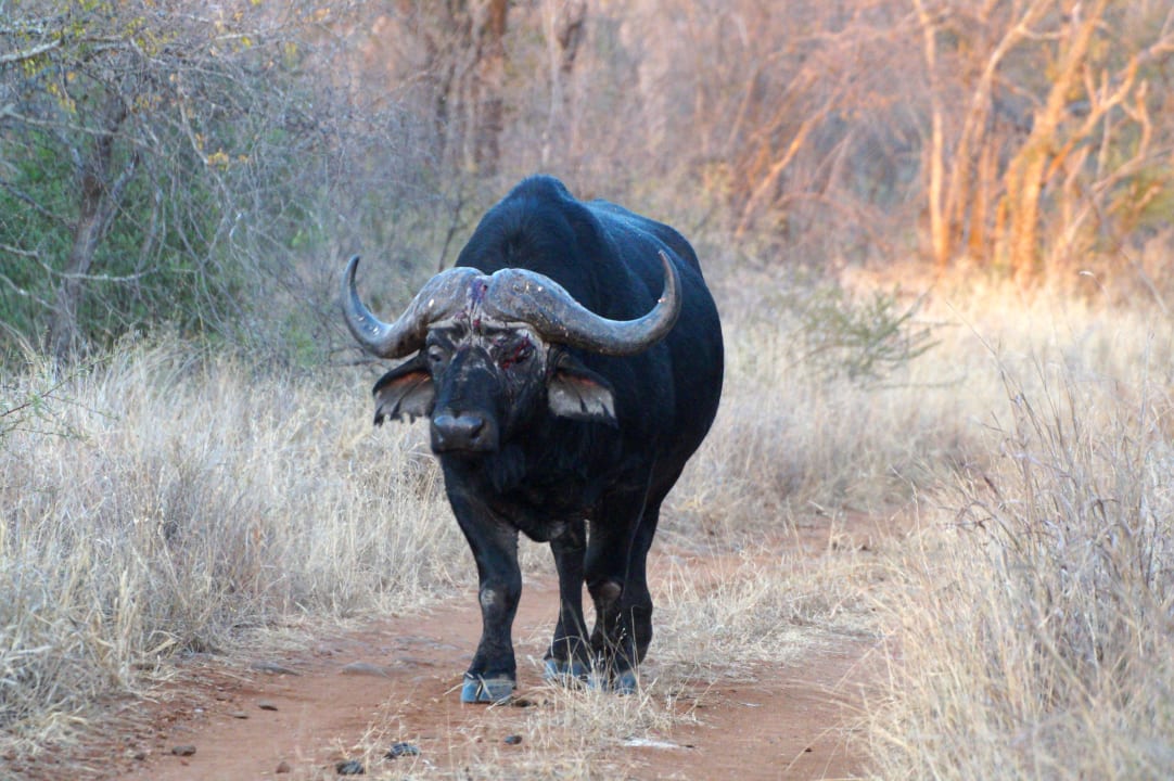 Gartenanlage Makutsi Safari Farm