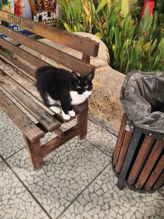 Gartenanlage Eftalia Ocean Resort & Spa