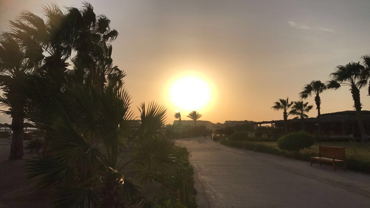 Ausblick Hotel Sheraton Soma Bay Resort