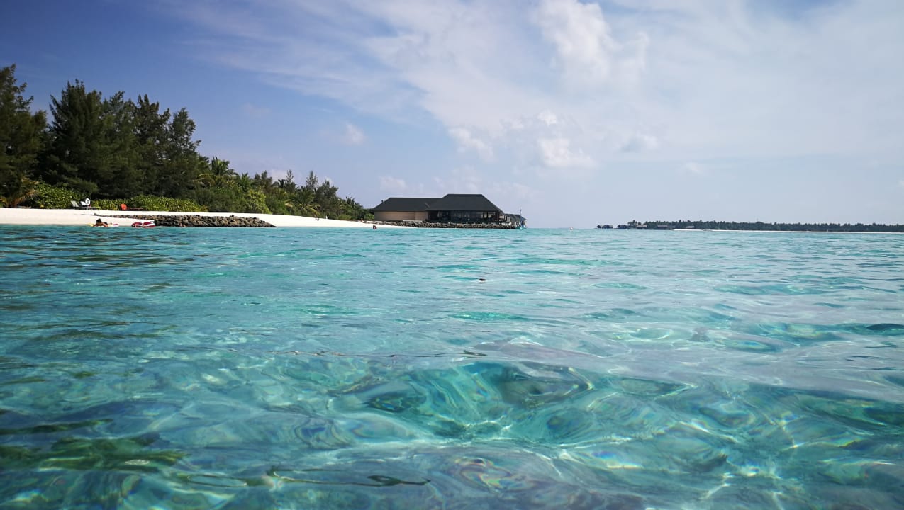 Strand Summer Island Maldives