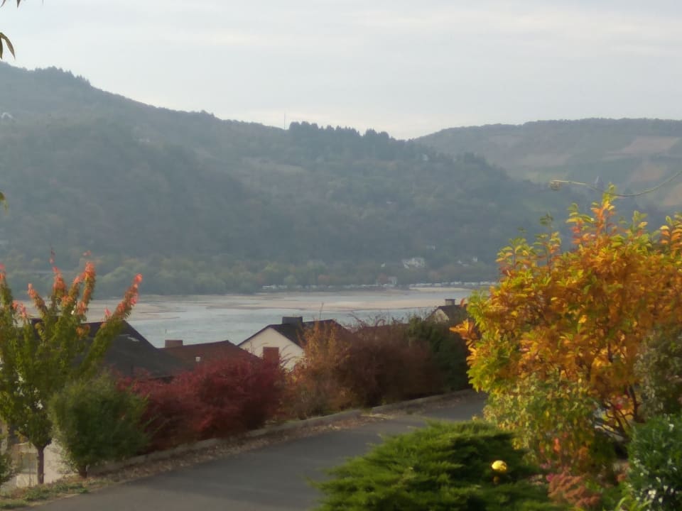 Ausblick Ferienwohnung Elisabeth & Albert Kunz