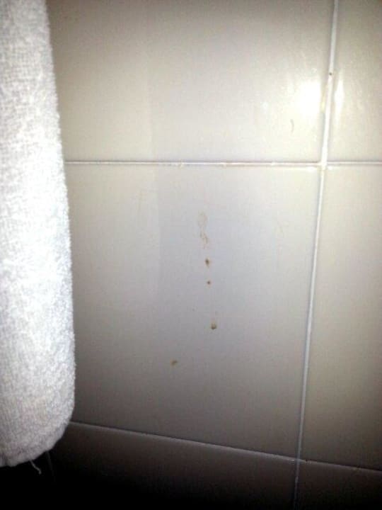  bei Ankunft vorhandene Blutspritzer im Badezimmer Mahdia Palace Thalasso
