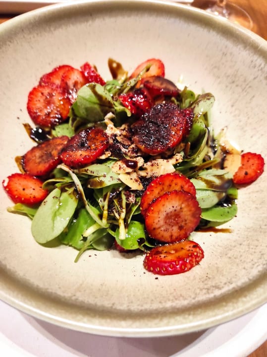 Gastro Acanthus Cennet Barut Collection