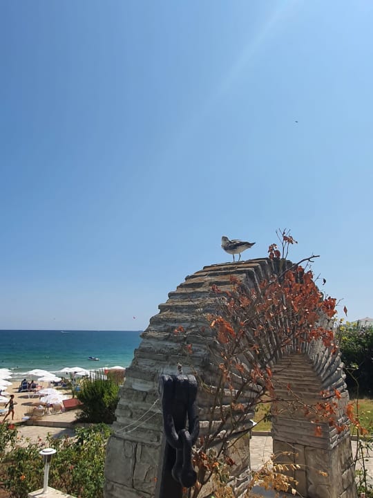 Gastro Hotel Bilyana Beach