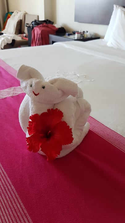 Zimmer Akumal Bay Beach & Wellness Resort